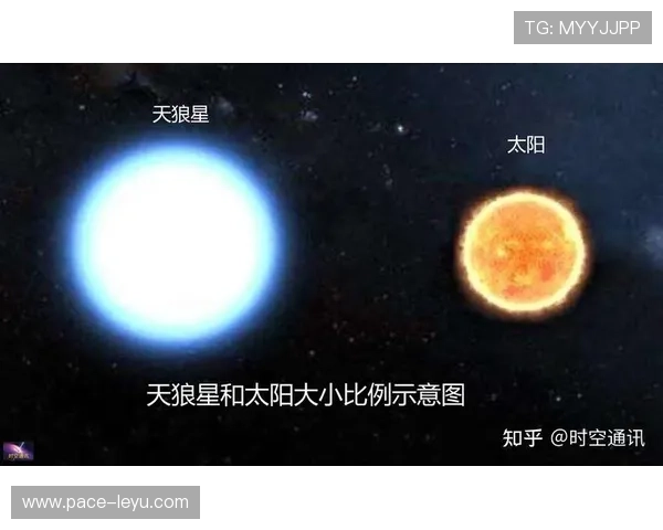 足球新星进球统计规则解析如何计算新进球星球数